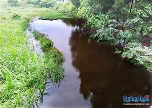Quảng Ngãi: Người dân bức xúc vì nước thải từ Cụm công nghiệp gây ô nhiễm