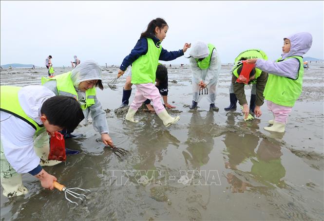 Các em nhỏ vui chơi tại Incheon, Hàn Quốc, ngày 3/5/2026. Ảnh: Yonhap/TTXVN
