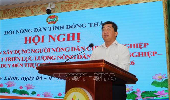 Ông Phạm Văn Toàn, Phó Chủ tịch Hội Nông dân tỉnh Đồng Tháp, phát biểu tại hội nghị. Ảnh: Hồng Thái – TTXVN