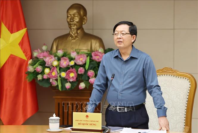Phó Thủ tướng Hồ Quốc Dũng phát biểu tại cuộc họp. Ảnh: Xuân Tùng - TTXVN