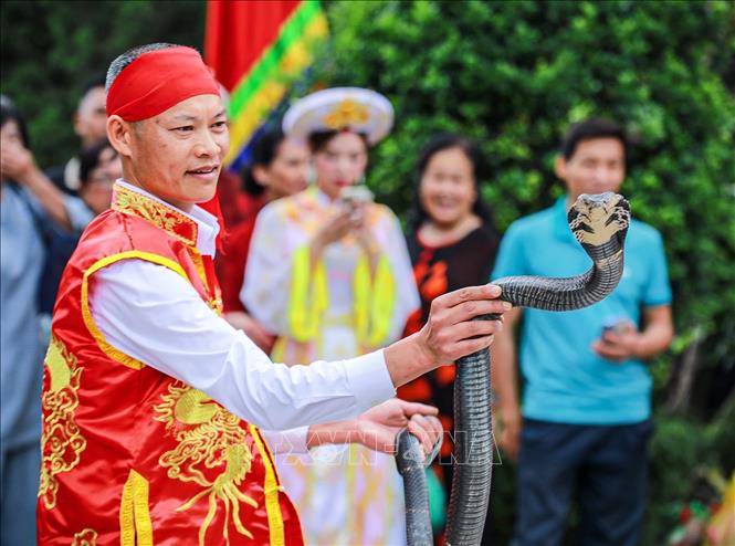 Biểu diễn rắn sống tại Lễ hội. Ảnh: Khánh Hoà - TTXVN