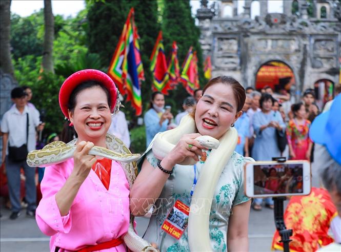 Rắn, trăn sống luôn là tâm điểm của Lễ hội làng Lệ Mật. Ảnh: Khánh Hoà - TTXVN