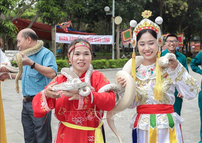 Du khách hào hứng trải nghiệm cảm giác chinh phục rắn sống, hoạt động độc đáo tại Lễ hội truyền thống làng Lệ Mật. Ảnh: Phan Phương – TTXVN