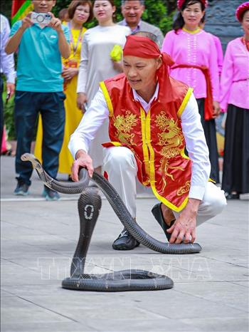 Biểu diễn rắn sống tại Lễ hội. Ảnh: Khánh Hoà - TTXVN