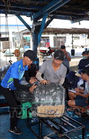 Các kiện mực khô được đóng gói sẵn trên tàu để xuất bán. Ảnh: Cao Nguyên-TTXVN
