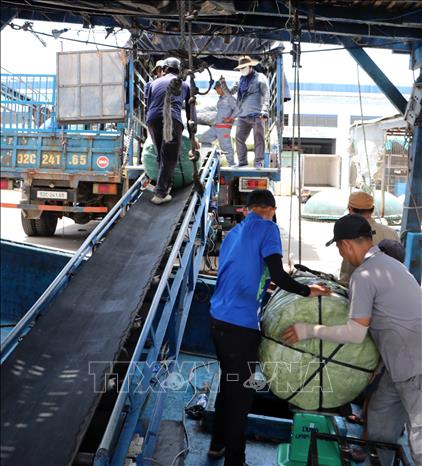 Các kiện mực khô được đóng gói sẵn trên tàu để xuất bán. Ảnh: Cao Nguyên-TTXVN

