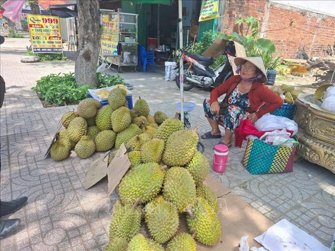 Điểm bán sầu riêng giá rẻ trên tuyến đường Lê Thị Hồng Gấm (phường Thới Sơn, tỉnh Đồng Tháp). Ảnh: Công Trí - TTXVN