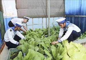 Trường Sa - sức sống nơi tiền tiêu Tổ quốc - Bài 2: Những mầm xanh giữa trùng khơi