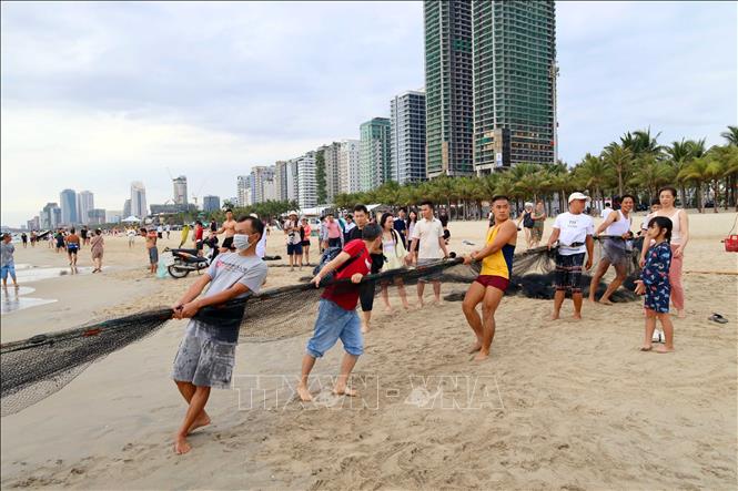 Tourists experience hauling up a fishing net with fishermen on Da Nang's beach. VNA Photo: Trần Lê Lâm 