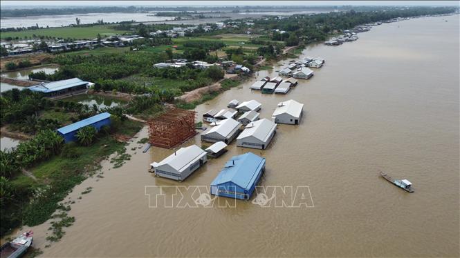 Người dân xã đảo Long Phú Thuận nuôi thủy sản ven sông Tiền. Ảnh: Nhựt An - TTXVN