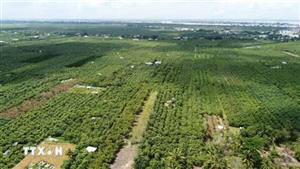 Đồng Tháp công nhận thêm 3 xã đảo giữa sông Tiền