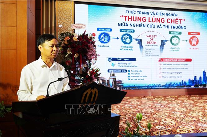 Thứ trưởng Bộ Khoa học và Công nghệ Hoàng Minh trình bày tham luận tại Hội thảo. Ảnh: Nguyên Lý - TTXVN