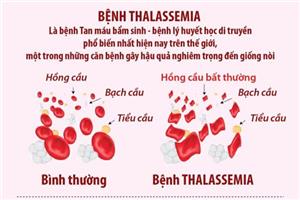 Ngày Thalassemia Thế giới 8/5: Những điều cần biết về bệnh Thalassemia