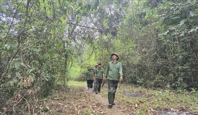 Cán bộ, nhân viên bảo vệ rừng thuộc Ban Quản lý rừng phòng hộ Bù Đăng đi kiểm tra các điểm có nguy cơ cháy cao. Ảnh: Đậu Tất Thành – TTXVN
