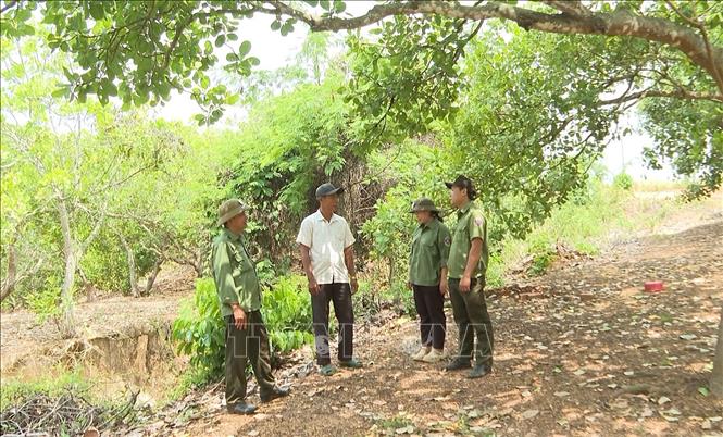 Cán bộ, nhân viên bảo vệ rừng thuộc Ban Quản lý rừng phòng hộ Bù Đăng tuyên truyền người dân có rẫy ở những khu vực giáp rừng dọn dẹp sạch sẽ vườn, rẫy, tránh xảy ra cháy lây lan. Ảnh: Đậu Tất Thành – TTXVN