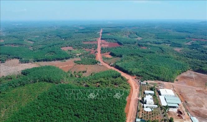 Không chỉ mang ý nghĩa bảo vệ tài nguyên thiên nhiên, những cánh rừng Mã Đà còn đóng vai trò quan trọng trong điều hòa khí hậu, giữ nguồn nước và bảo vệ môi trường sinh thái cho khu vực. Ảnh: Đậu Tất Thành – TTXVN.