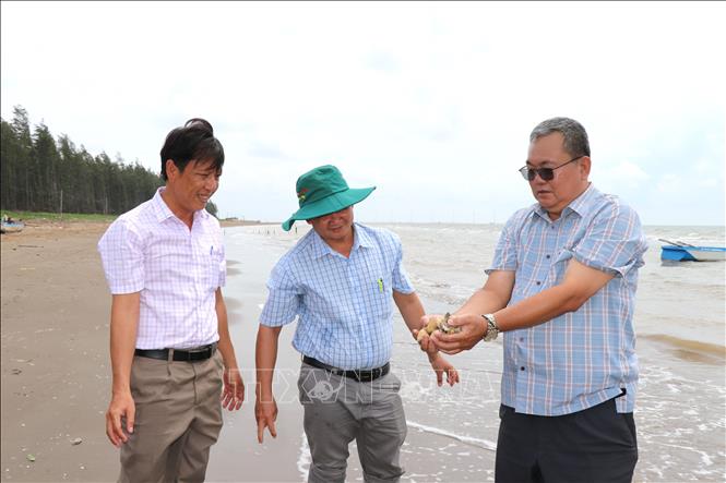 Phó Giám đốc Sở Nông nghiệp và Môi trường Vĩnh Long Phạm Minh Truyền (phải) khảo sát bãi nuôi nghêu của Hợp tác xã Phương Đông. Ảnh: Thanh Hòa- TTXVN