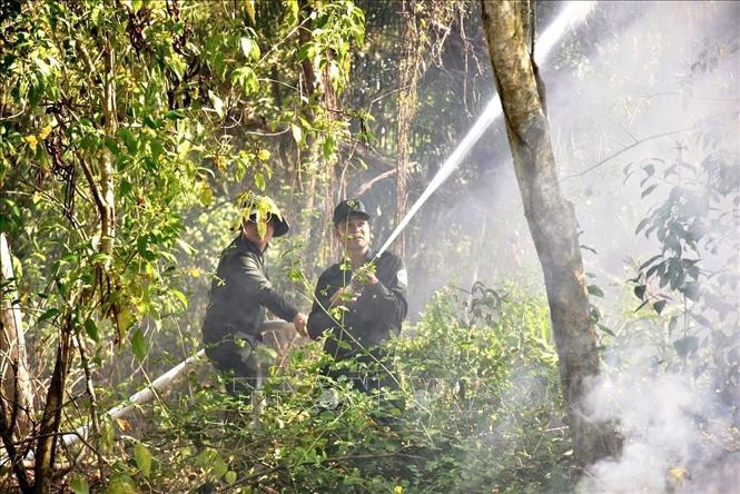 Công tác diễn tập phòng cháy, chữa cháy rừng được quan tâm, chú trọng giúp bảo vệ các diện tích rừng được an toàn vào mùa khô hàng năm. Ảnh: Chanh Đa-TTXVN
