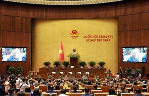 Nghị quyết Kỳ họp thứ Nhất, Quốc hội khóa XVI