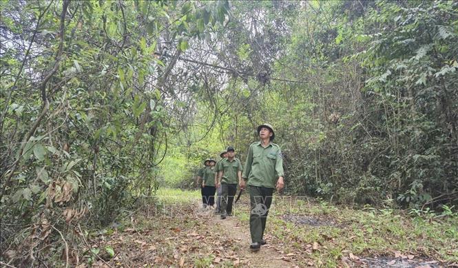 Cán bộ, nhân viên bảo vệ rừng thuộc Ban Quản lý rừng phòng hộ Bù Đăng đi kiểm tra các điểm có nguy cơ cháy cao. Ảnh: Đậu Tất Thành – TTXVN