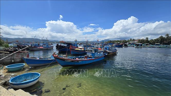 Xã Vạn Ninh - khu vực nuôi biển tập trung của tỉnh có 1.169 hộ nuôi biển gồm cả tôm hùm và cá biển. Ảnh: Đặng Tuấn -TTXVN 
