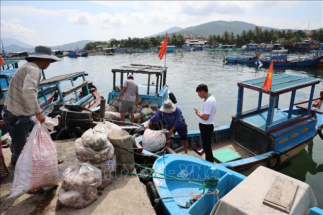 Người dân đưa thức ăn tôm hùm xuống thuyền nhỏ để đưa ra vùng biển xa bờ. Ảnh: Đặng Tuấn -TTXVN 