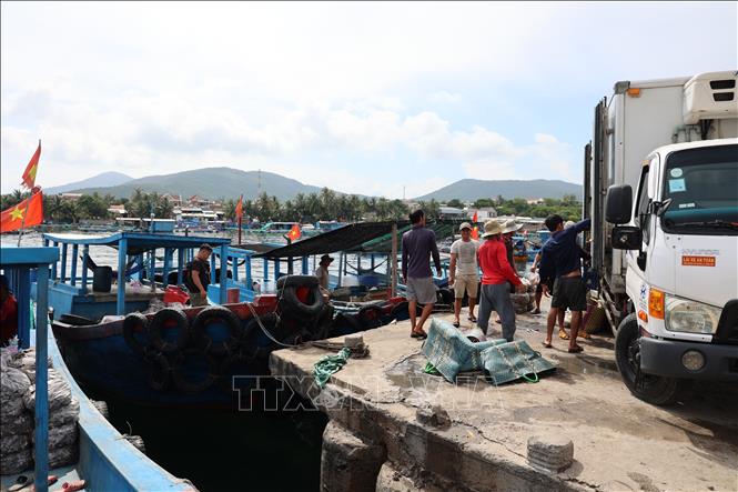 Người dân đưa thức ăn tôm hùm xuống thuyền nhỏ để đưa ra vùng biển xa bờ. Ảnh: Đặng Tuấn -TTXVN 