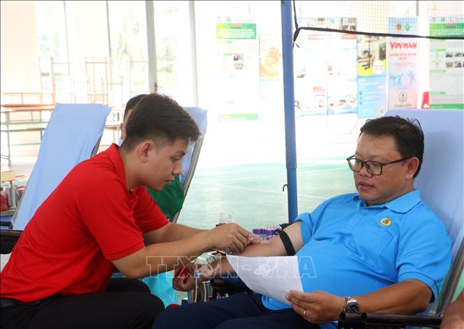 Các tình nguyện viên tham gia hiến máu. Ảnh: Lê Thúy Hằng – TTXVN
