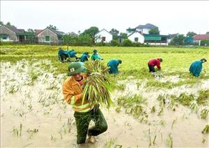 Mưa lớn làm 1 người bị thương và nhiều thiệt hại tại các địa phương