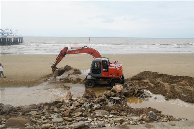 Khối lượng gốc cây và cành cây rất lớn nên địa phương phải huy động thêm máy xúc, máy ủi để xử lý. Ảnh: Khiếu Tư - TTXVN