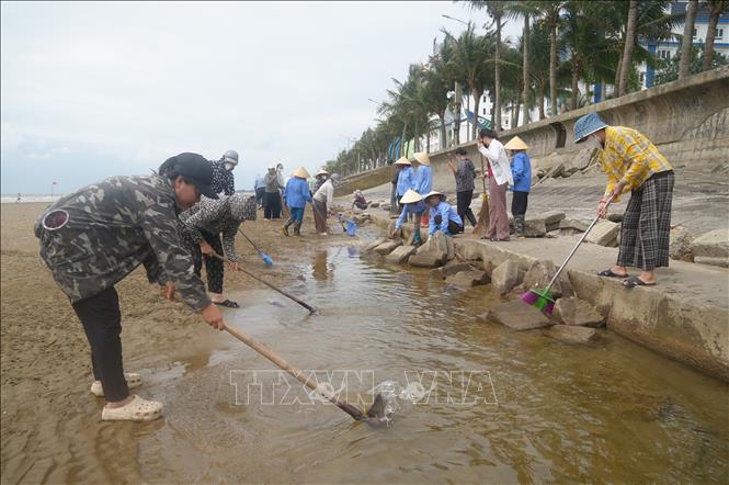 Hàng trăm nhân công được huy động liên tục để thu gom lượng lớn rác “chìm” tồn tại dưới lớp cát sau nhiều đợt mưa bão. Ảnh: Khiếu Tư - TTXVN