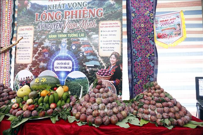 Trưng bày sản phẩm nông sản đặc trưng của các bản thuộc xã Lóng Phiêng tại Ngày hội. Ảnh: Quang Quyết - TTXVN