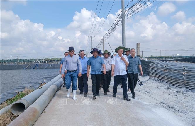 Bộ trưởng Bộ Nông nghiệp và Môi trường Trịnh Việt Hùng tham quan khu nuôi tôm siêu thâm canh của Công ty Cổ phần Thủy sản sạch Việt Nam (xã Trần Đề, thành phố Cần Thơ). Ảnh: Thanh Liêm - TTXVN
