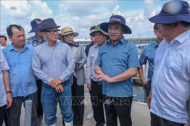 Bộ trưởng Bộ Nông nghiệp và Môi trường Trịnh Việt Hùng tham quan khu nuôi tôm siêu thâm canh của Công ty Cổ phần Thủy sản sạch Việt Nam (xã Trần Đề, thành phố Cần Thơ). Ảnh: Thanh Liêm - TTXVN