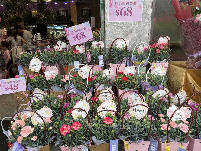 Các lẵng hoa đều có giá 48, 68, những con số được coi là biểu tượng may mắn. Ảnh: Mạc Luyện - PV TTXVN tại Hong Kong
