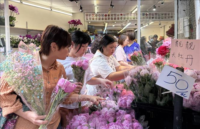 Chợ hoa Mong Kong luôn tấp nập người mua hoa trong dịp Ngày của mẹ. Ảnh: Mạc Luyện - PV TTXVN tại Hong Kong