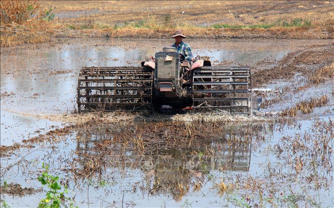  Làm đất chuẩn bị xuống giống lúa Hè Thu tại xã Tân Hòa, thành phố Cần Thơ. Ảnh: Duy Khương – TTXVN