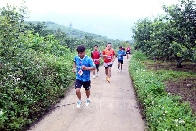 Các VĐV tham gia giải chạy tại Ngày hội. Ảnh: Quang Quyết - TTXVN