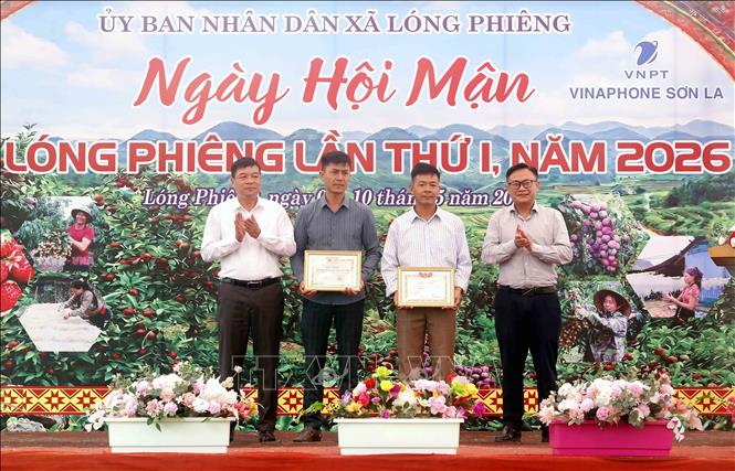 Trao Giấy khen của Chủ tịch UBND xã Lóng Phiêng cho các cá nhân. Ảnh: Quang Quyết - TTXVN