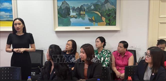 Đại diện các doanh nghiệp chia sẻ khó khăn vướng mắc và nêu kiến nghị nhằm nâng tầm thương hiệu Việt. Ảnh: Ngọc Khương - PV TTXVN tại Singapore