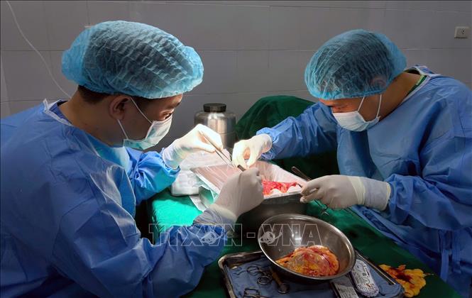 Ca phẫu thuật lấy tạng tại Bệnh viện Đa khoa tỉnh Quảng Ninh. Ảnh: TTXVN phát