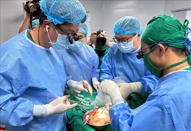 Ca phẫu thuật lấy tạng tại Bệnh viện Đa khoa tỉnh Quảng Ninh. Ảnh: TTXVN phát
