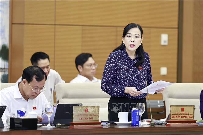 Chủ nhiệm Ủy ban Khoa học, Công nghệ và Môi trường của Quốc hội Nguyễn Thanh Hải phát biểu. Ảnh: Doãn Tấn - TTXVN