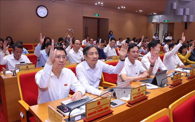 Các đại biểu thông qua chương trình kỳ họp. Ảnh: Văn Điệp – TTXVN