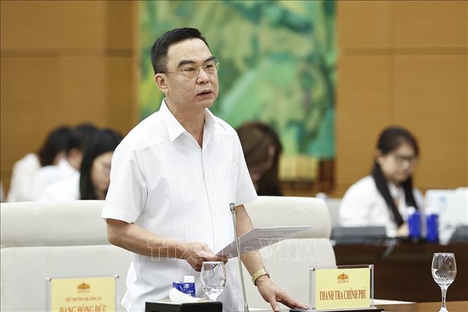 Trưởng Ban Tiếp Công dân Trung ương Nguyễn Hồng Điệp (Thanh tra Chính phủ) phát biểu. Ảnh: Doãn Tấn - TTXVN