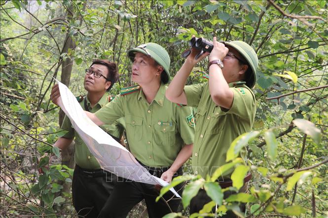 Lực lượng Kiểm lâm tuần tra, kiểm soát rừng tại Khu Bảo tồn Thiên nhiên đất ngập nước Vân Long, tỉnh Ninh Bình. Ảnh: Thùy Dung - TTXVN