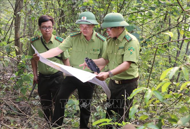 Lực lượng Kiểm lâm tuần tra, kiểm soát rừng tại Khu Bảo tồn Thiên nhiên đất ngập nước Vân Long, tỉnh Ninh Bình. Ảnh: Thùy Dung - TTXVN