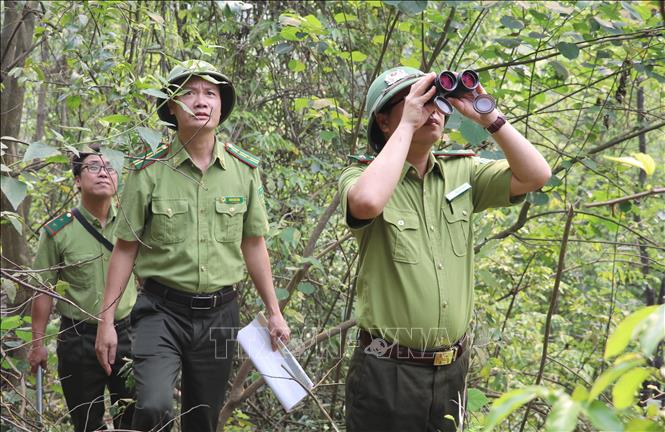 Lực lượng Kiểm lâm tuần tra, kiểm soát rừng tại Khu Bảo tồn Thiên nhiên đất ngập nước Vân Long, tỉnh Ninh Bình. Ảnh: Thùy Dung - TTXVN