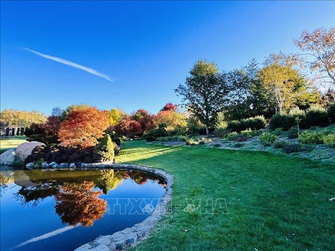Mayfield Garden không đơn thuần là một khu vườn, mà hiện ra như không gian nghệ thuật sống động với diện tích lên đến hơn 160 hecta. Ảnh: Thanh Tú - PV TTXVN tại Australia