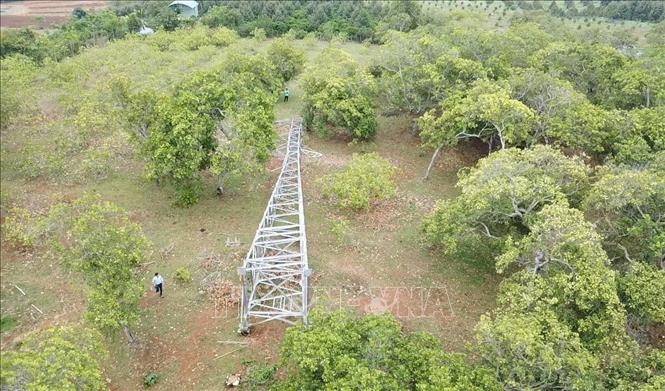 Trụ điện 110kV của dự án thủy điện Đức Thành đoạn đi qua xã Bù Đăng, thành phố Đồng Nai bị gãy đổ hoàn toàn. Ảnh: Đậu Tất Thành – TTXVN